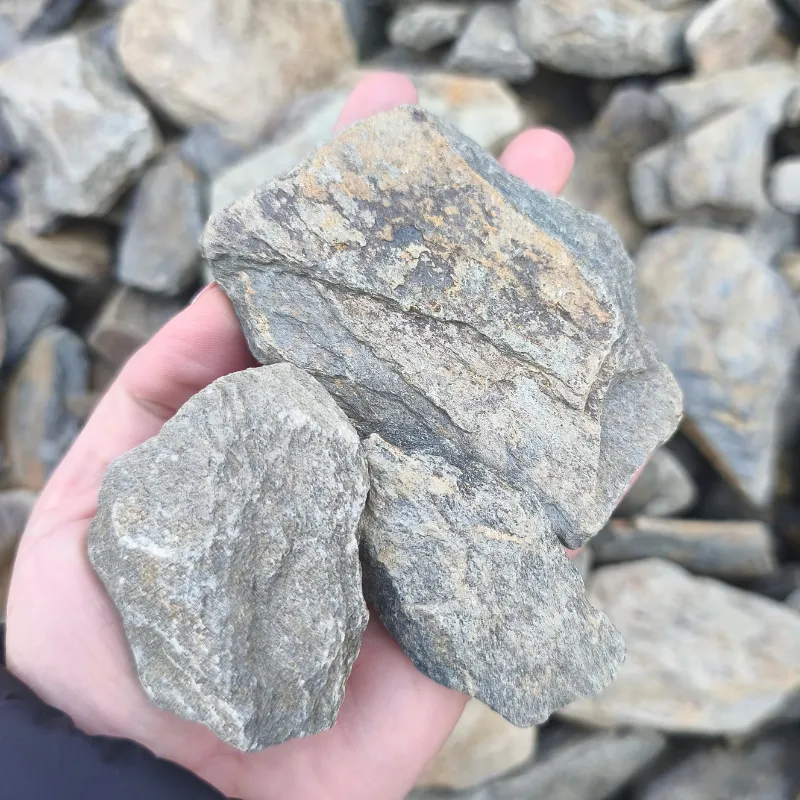 Kora kamienna z łupka szarogłazowego (Bronze Ridge)
