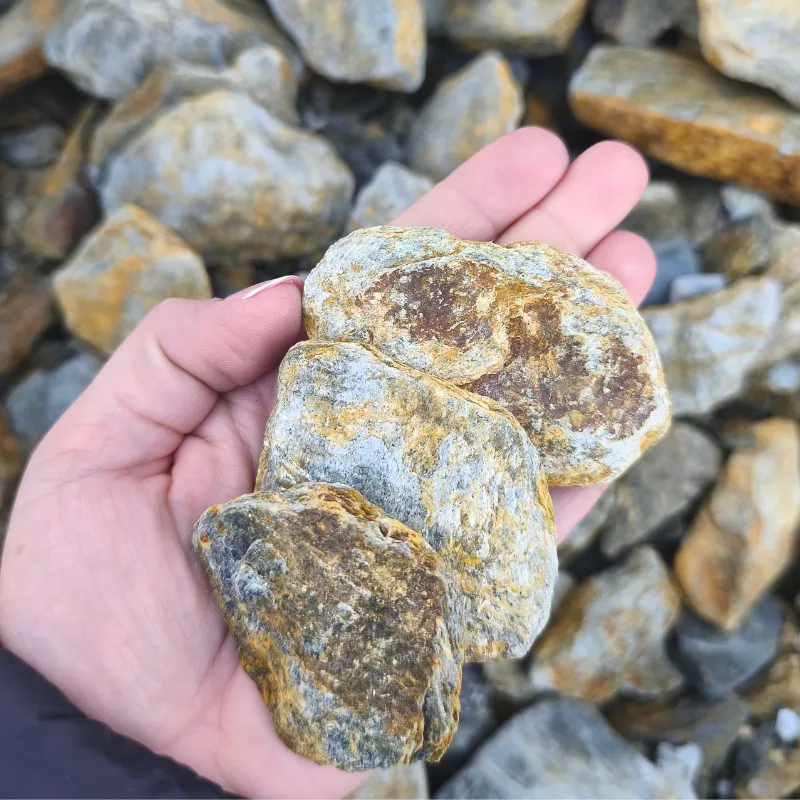 Kora kamienna rdzawa (Ruststone)
